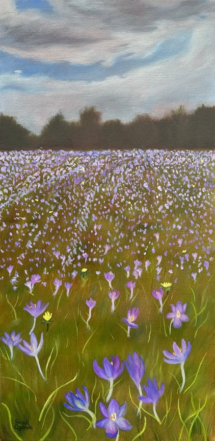 Crocus Field |24x12| Oil
