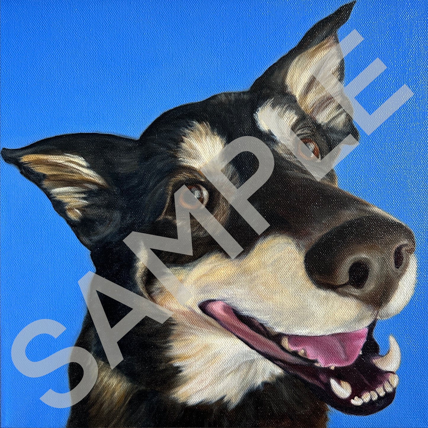 Pet Commission Inquiries