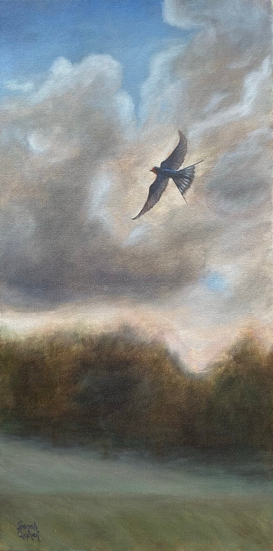 FRAMED Barn Swallow |12x24| Giclee Print