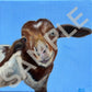 Peanut & Hugo Pet Commission Final Payment