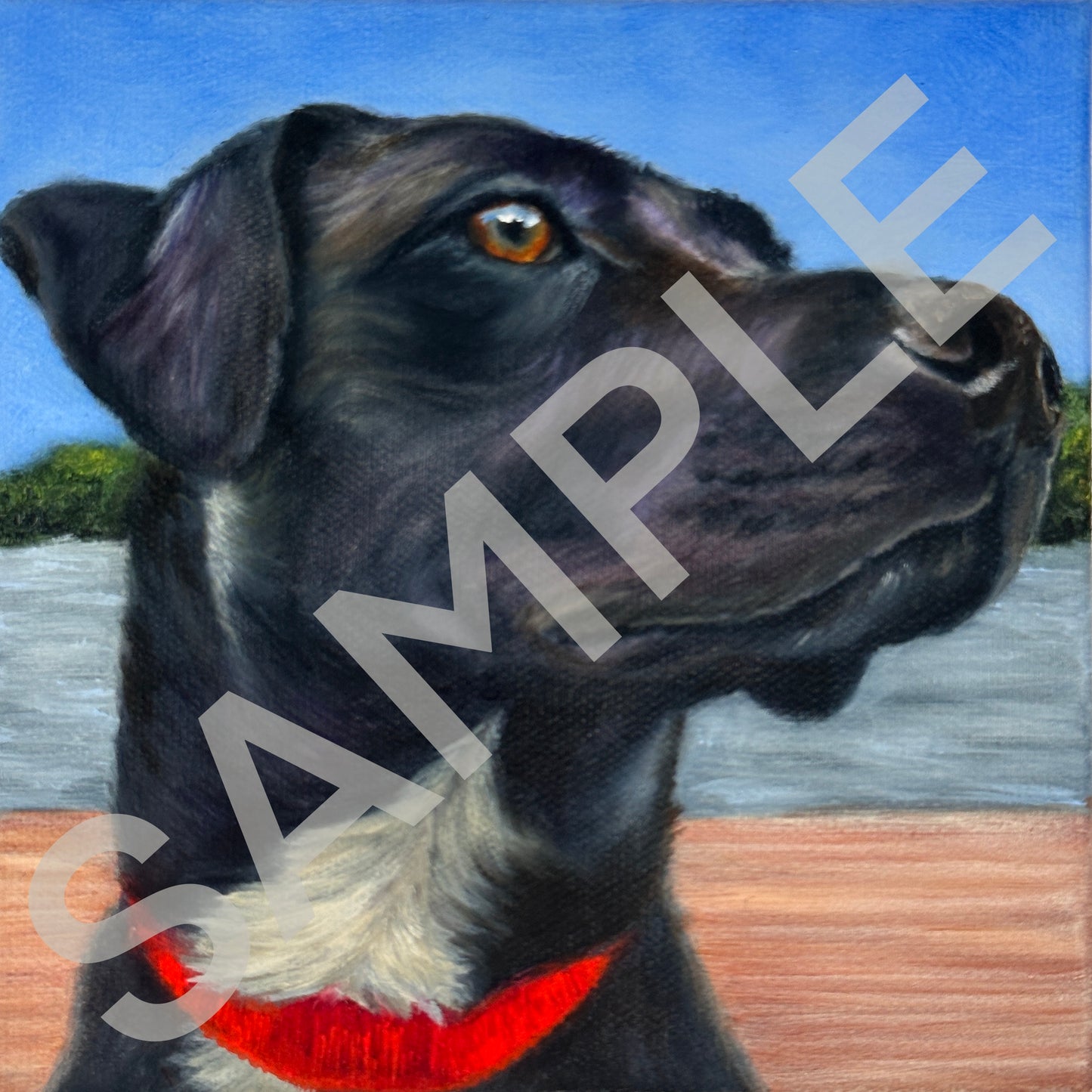 Pet Commission Inquiries